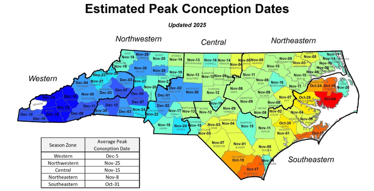 Map of North Carolina counties labeled with their estimated peak conception dates for 2025, from October 4 in Hyde County on the sounds to December 19 in Macon County in the mountains, with a table of season zone averages from October 31 in the Southeastern zone to December 5 in the Western.