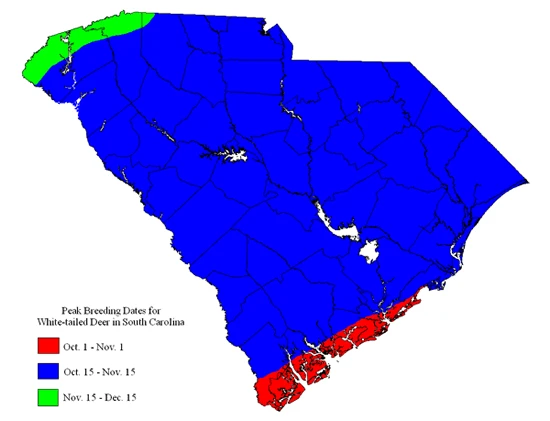 Map of South Carolina in three peak breeding bands: October 1 to November 1 on the southern coast, October 15 to November 15 across nearly all of the state, and November 15 to December 15 in the mountains along the North Carolina line.